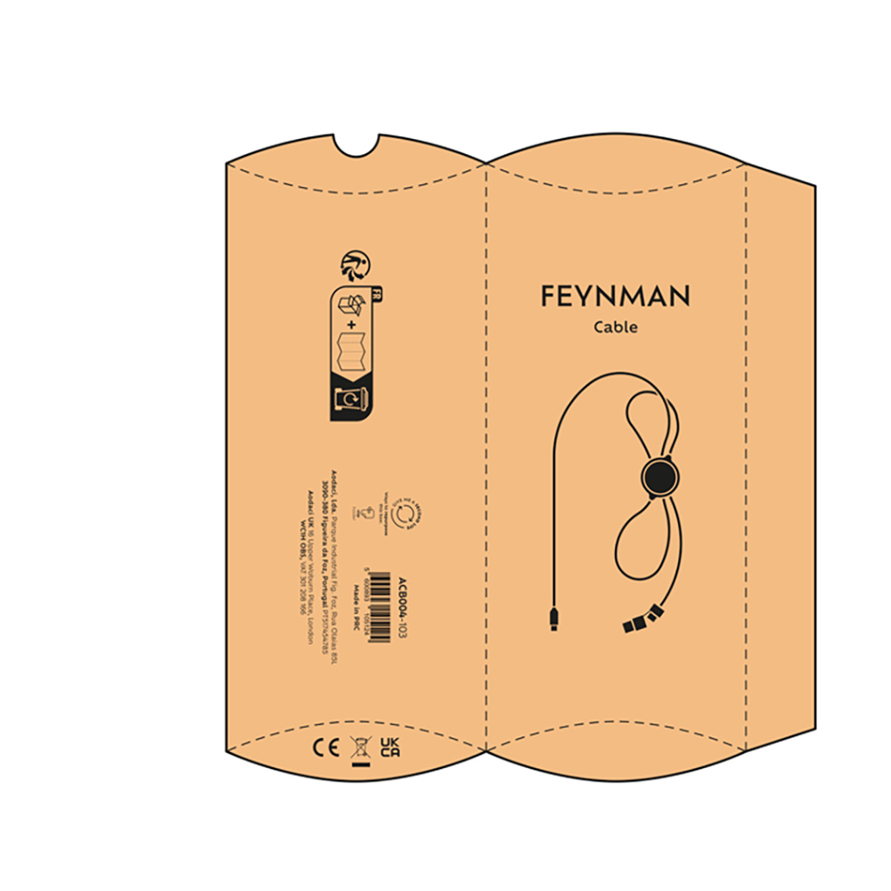 Feynman