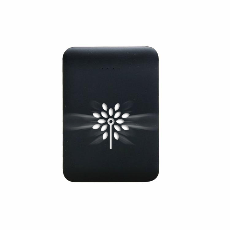 MINI LIGHT UP LOGO POWER BANK