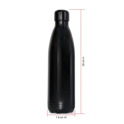 STAINLESS STEEL WATER BOTTLE