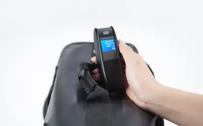 Handy Scale
