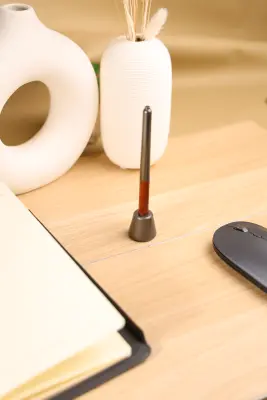 DESK PEN
