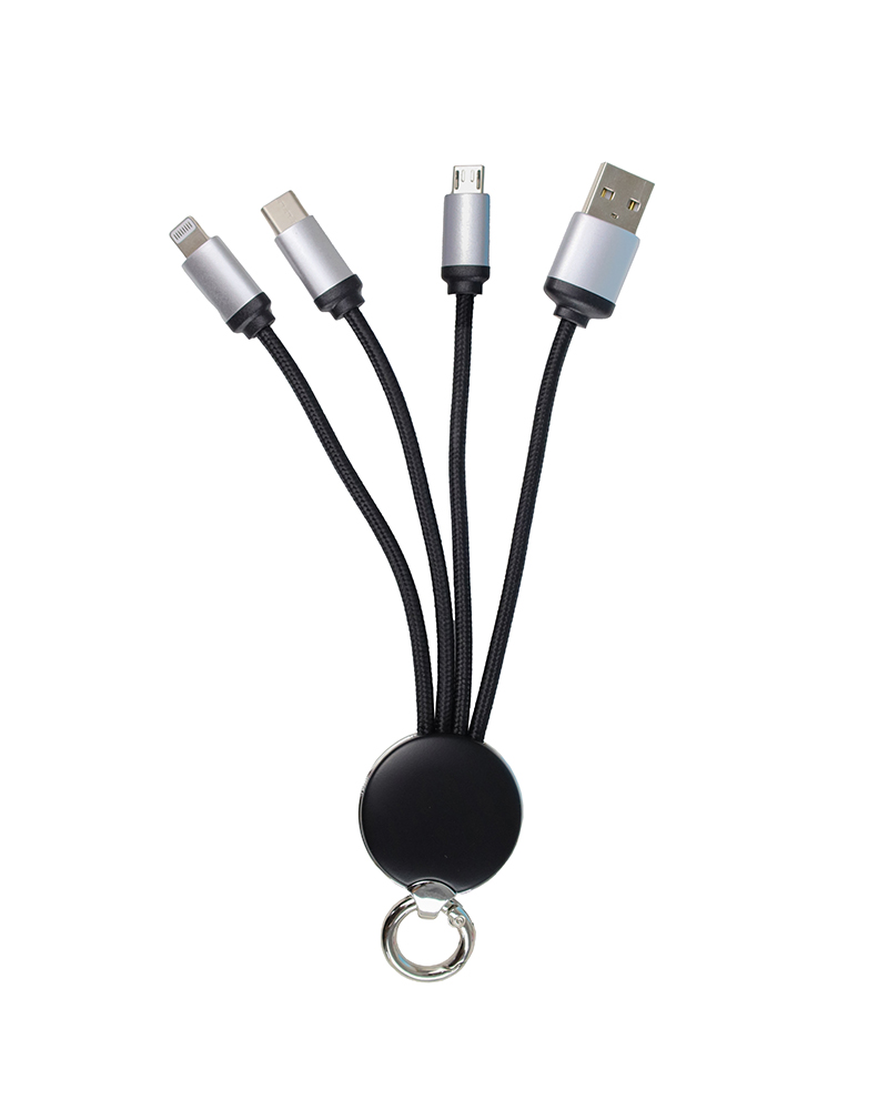 Eden - 4 in 1 Charging Cable